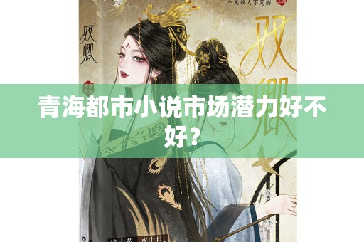 青海都市小说市场潜力好不好？