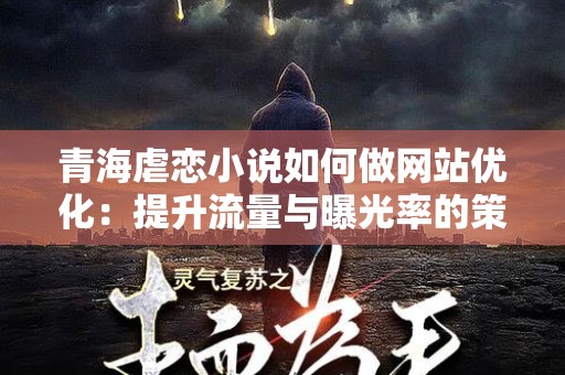 青海虐恋小说如何做网站优化：提升流量与曝光率的策略