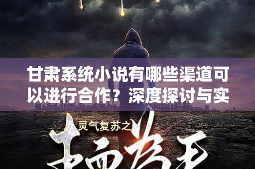 甘肃系统小说有哪些渠道可以进行合作？深度探讨与实践