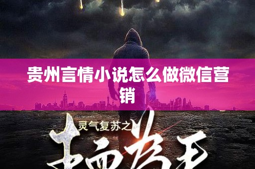 贵州言情小说怎么做微信营销