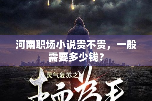 河南职场小说贵不贵，一般需要多少钱？