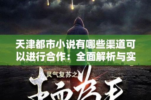 天津都市小说有哪些渠道可以进行合作：全面解析与实践