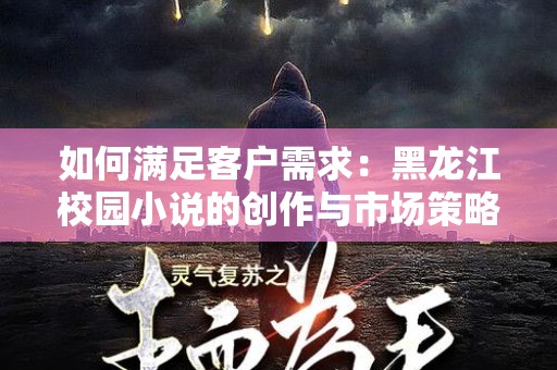 如何满足客户需求：黑龙江校园小说的创作与市场策略