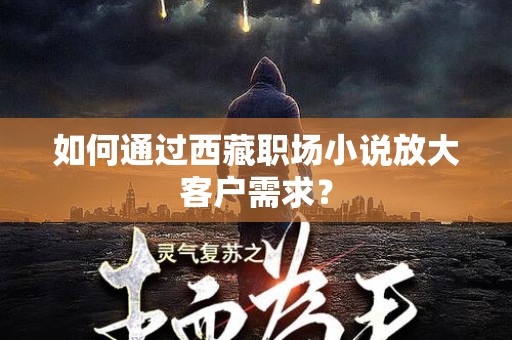 如何通过西藏职场小说放大客户需求？