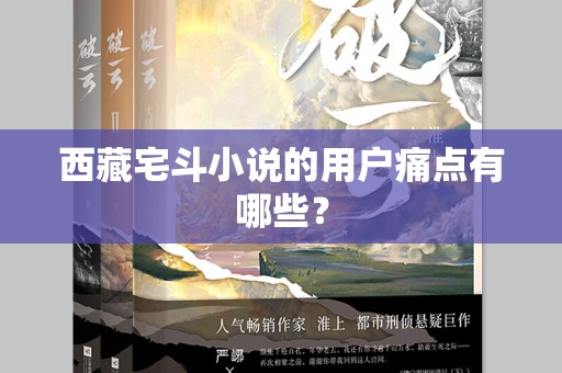 西藏宅斗小说的用户痛点有哪些？