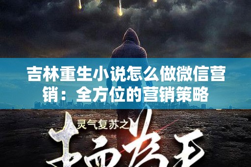 吉林重生小说怎么做微信营销：全方位的营销策略