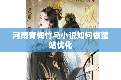 河南青梅竹马小说如何做整站优化