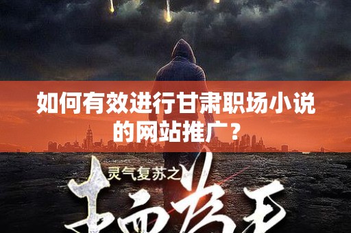 如何有效进行甘肃职场小说的网站推广？
