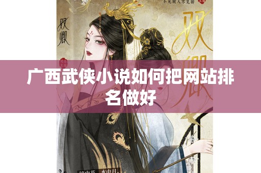 广西武侠小说如何把网站排名做好