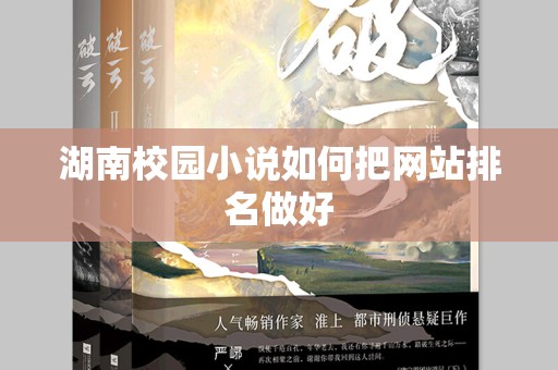 湖南校园小说如何把网站排名做好