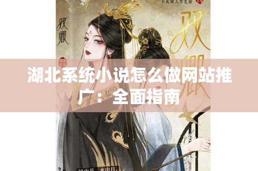 湖北系统小说怎么做网站推广：全面指南
