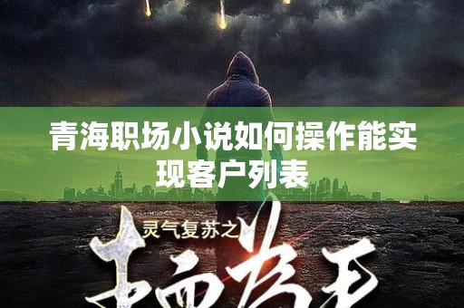 青海职场小说如何操作能实现客户列表