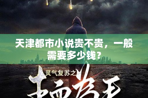天津都市小说贵不贵，一般需要多少钱？