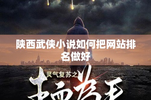 陕西武侠小说如何把网站排名做好