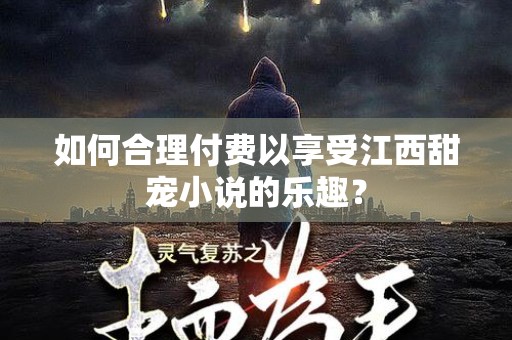 如何合理付费以享受江西甜宠小说的乐趣？