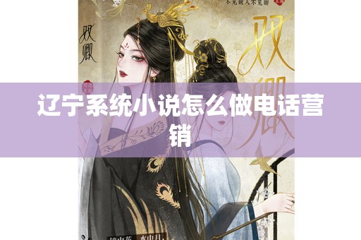辽宁系统小说怎么做电话营销