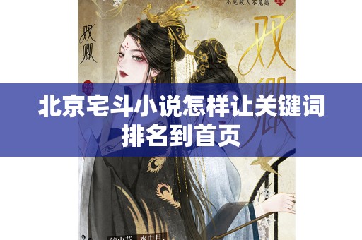 北京宅斗小说怎样让关键词排名到首页