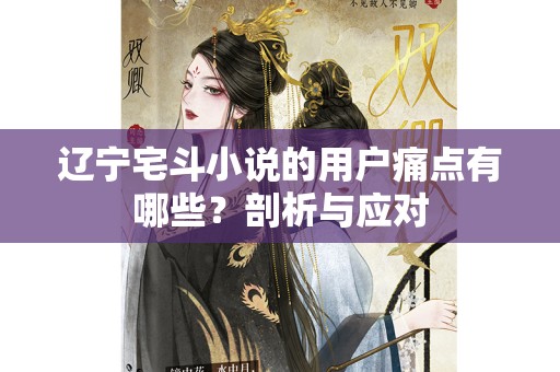 辽宁宅斗小说的用户痛点有哪些？剖析与应对