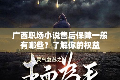 广西职场小说售后保障一般有哪些？了解你的权益