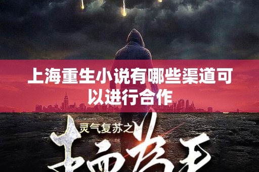 上海重生小说有哪些渠道可以进行合作
