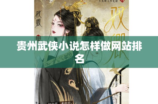 贵州武侠小说怎样做网站排名