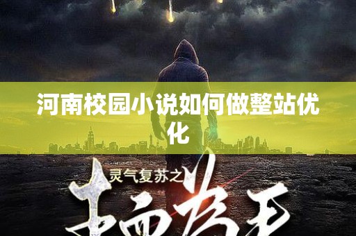 河南校园小说如何做整站优化