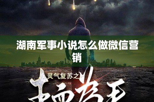 湖南军事小说怎么做微信营销