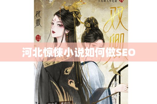 河北惊悚小说如何做SEO