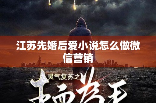 江苏先婚后爱小说怎么做微信营销