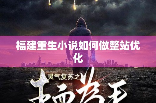 福建重生小说如何做整站优化