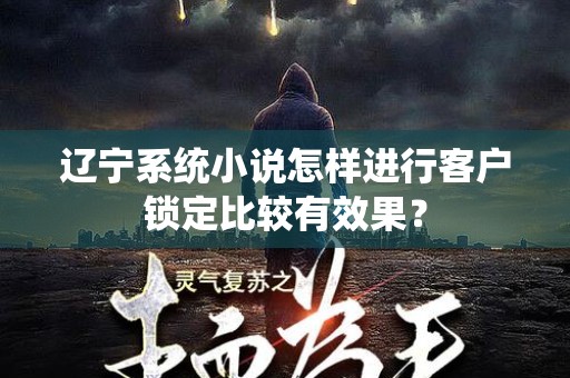 辽宁系统小说怎样进行客户锁定比较有效果？