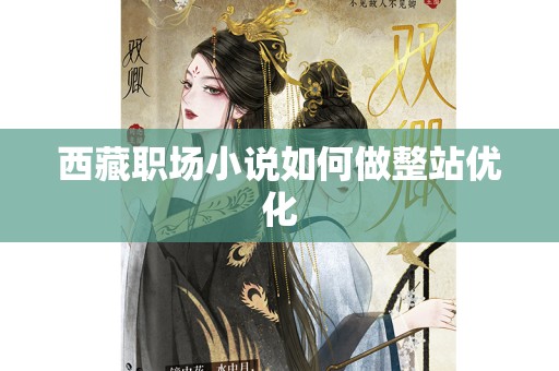 西藏职场小说如何做整站优化