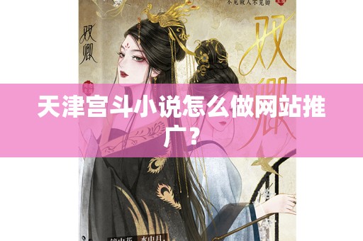 天津宫斗小说怎么做网站推广？