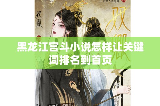 黑龙江宫斗小说怎样让关键词排名到首页