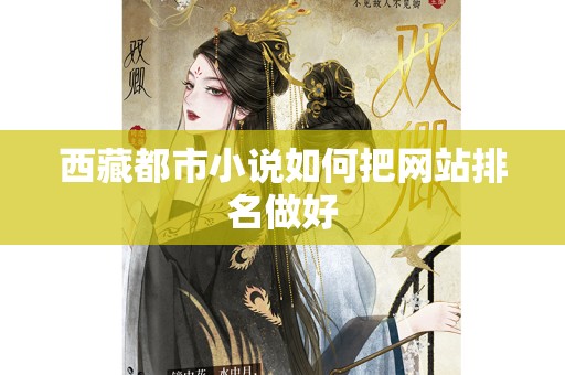 西藏都市小说如何把网站排名做好