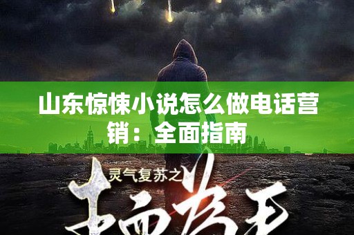 山东惊悚小说怎么做电话营销：全面指南