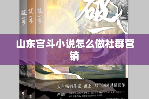 山东宫斗小说怎么做社群营销