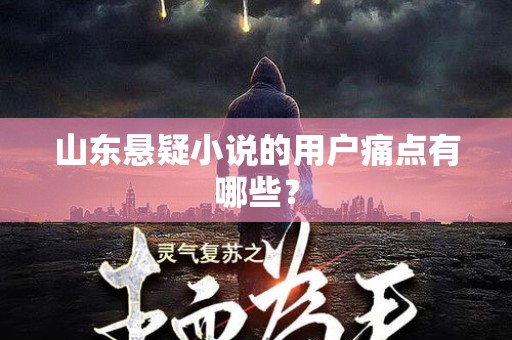 山东悬疑小说的用户痛点有哪些？