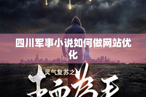 四川军事小说如何做网站优化