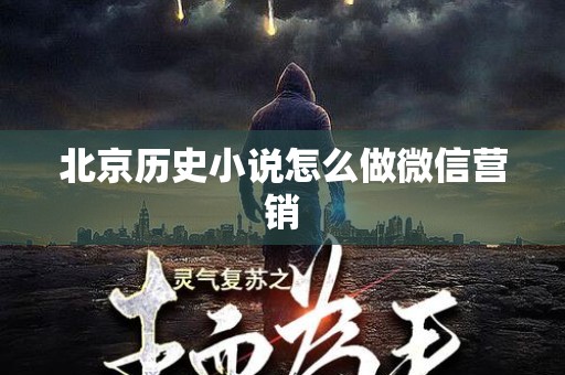 北京历史小说怎么做微信营销