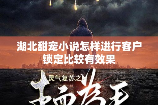 湖北甜宠小说怎样进行客户锁定比较有效果