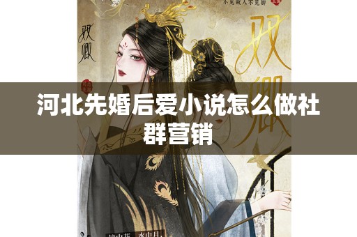 河北先婚后爱小说怎么做社群营销