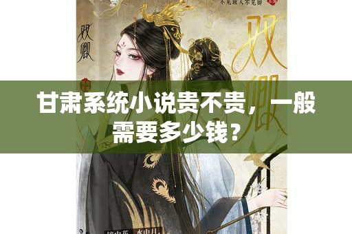 甘肃系统小说贵不贵，一般需要多少钱？