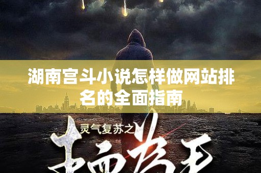 湖南宫斗小说怎样做网站排名的全面指南