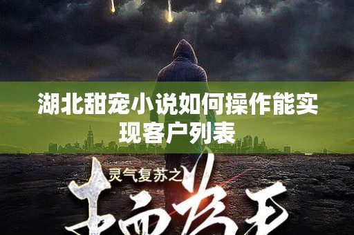 湖北甜宠小说如何操作能实现客户列表