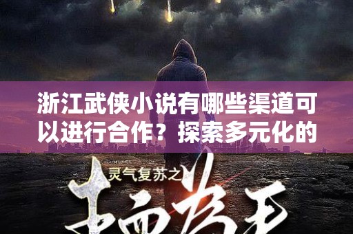 浙江武侠小说有哪些渠道可以进行合作？探索多元化的合作方式