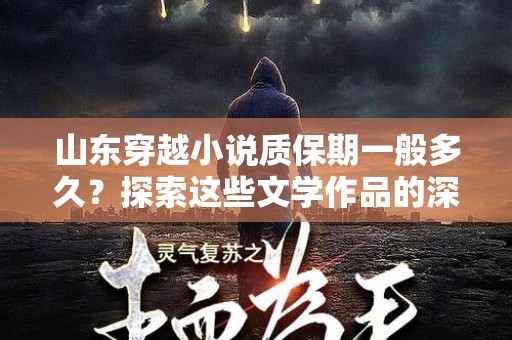 山东穿越小说质保期一般多久？探索这些文学作品的深度与魅力