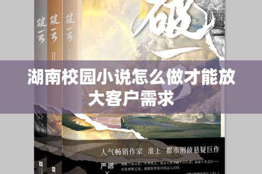 湖南校园小说怎么做才能放大客户需求