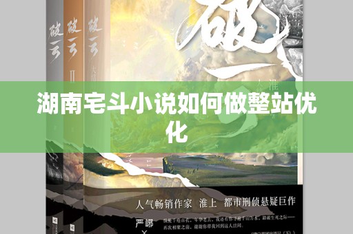 湖南宅斗小说如何做整站优化