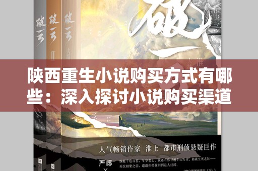 陕西重生小说购买方式有哪些：深入探讨小说购买渠道与方式